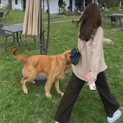 短暂的爱情